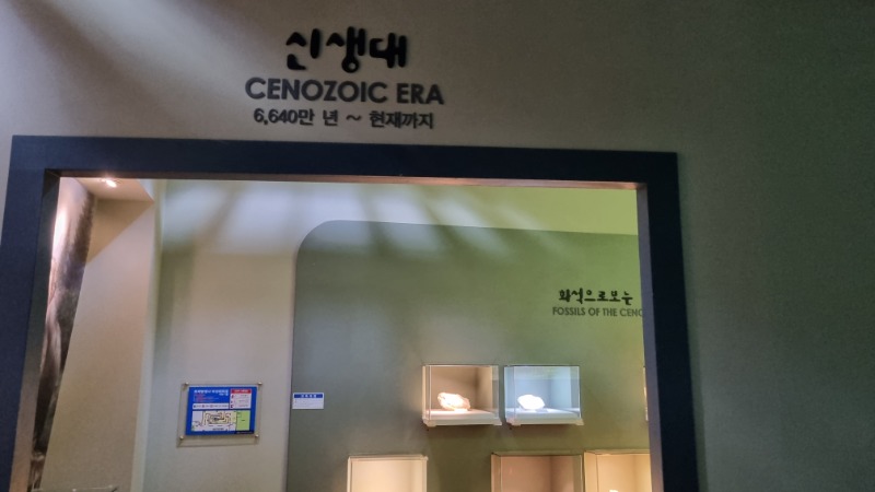 신생대속으로